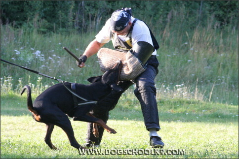 Summer training camp in Finland 2007